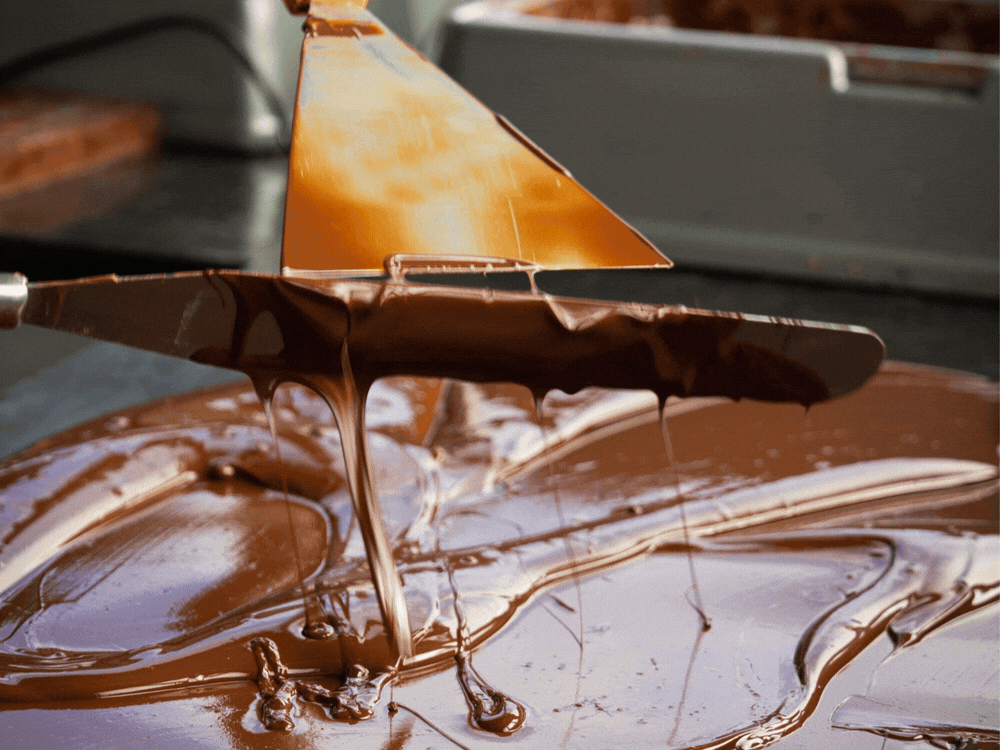Hand-sorting cocoa beans before roasting