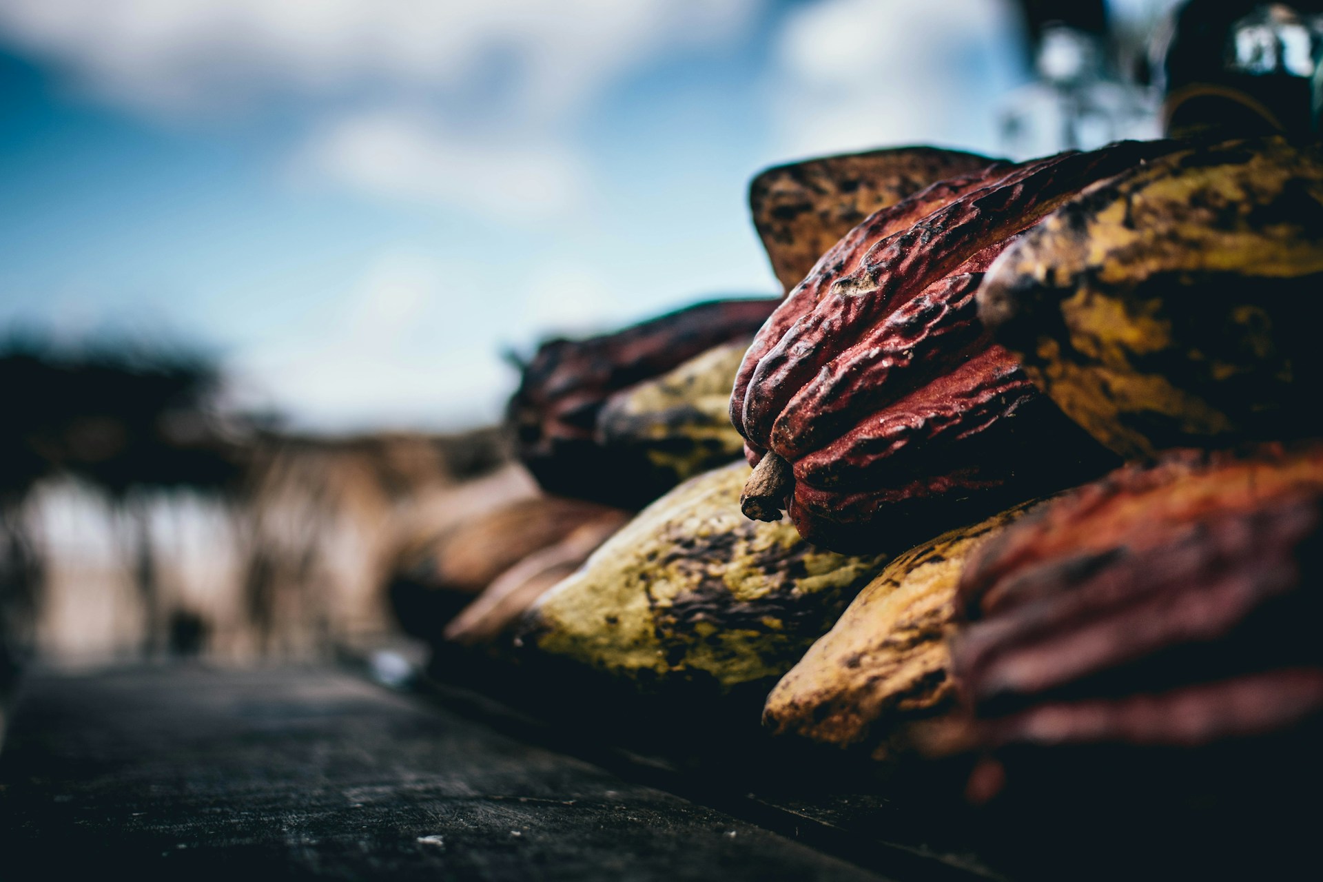 alexandre-brondino-b-F9K6DUq2I-unsplash Belize Single Origin 72% Finca Chocolat